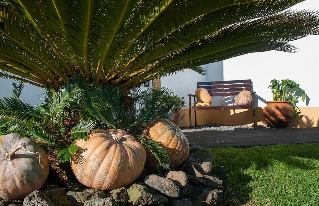 Vila Belgica Bed & Breakfast ออร์ตา ภายนอก รูปภาพ