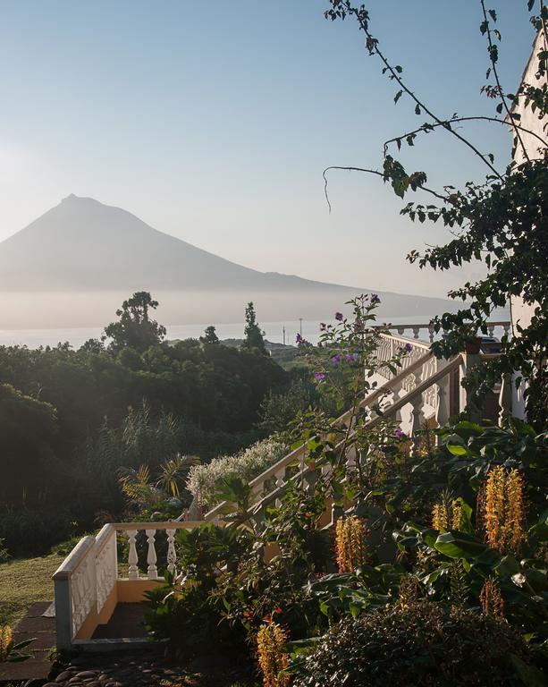 Vila Belgica Bed & Breakfast ออร์ตา ภายนอก รูปภาพ